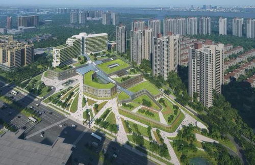 同頻共振融入 十四五 融僑集團(tuán)堅定以 醫(yī)食住教 服務(wù)美好生活