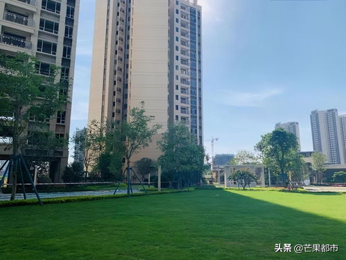 大開眼界 城北明星盤做得很走心,這才是真正的匠心產(chǎn)品