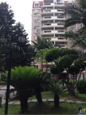 福州住宅20㎡以下租房出租信息 城市房產(chǎn)