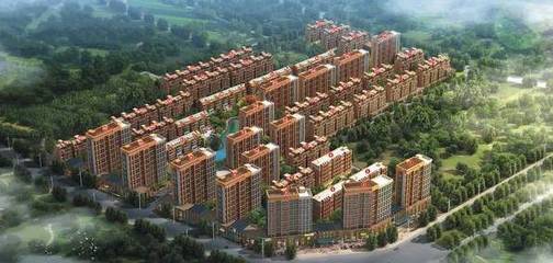 身家過(guò)7億,這個(gè)蒼南女子不得了:上市公司女老總